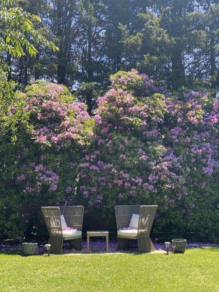 Journey_-2-Chairs-Flowers-scaled