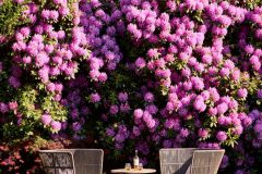 Spring-Front-Lawn-scaled