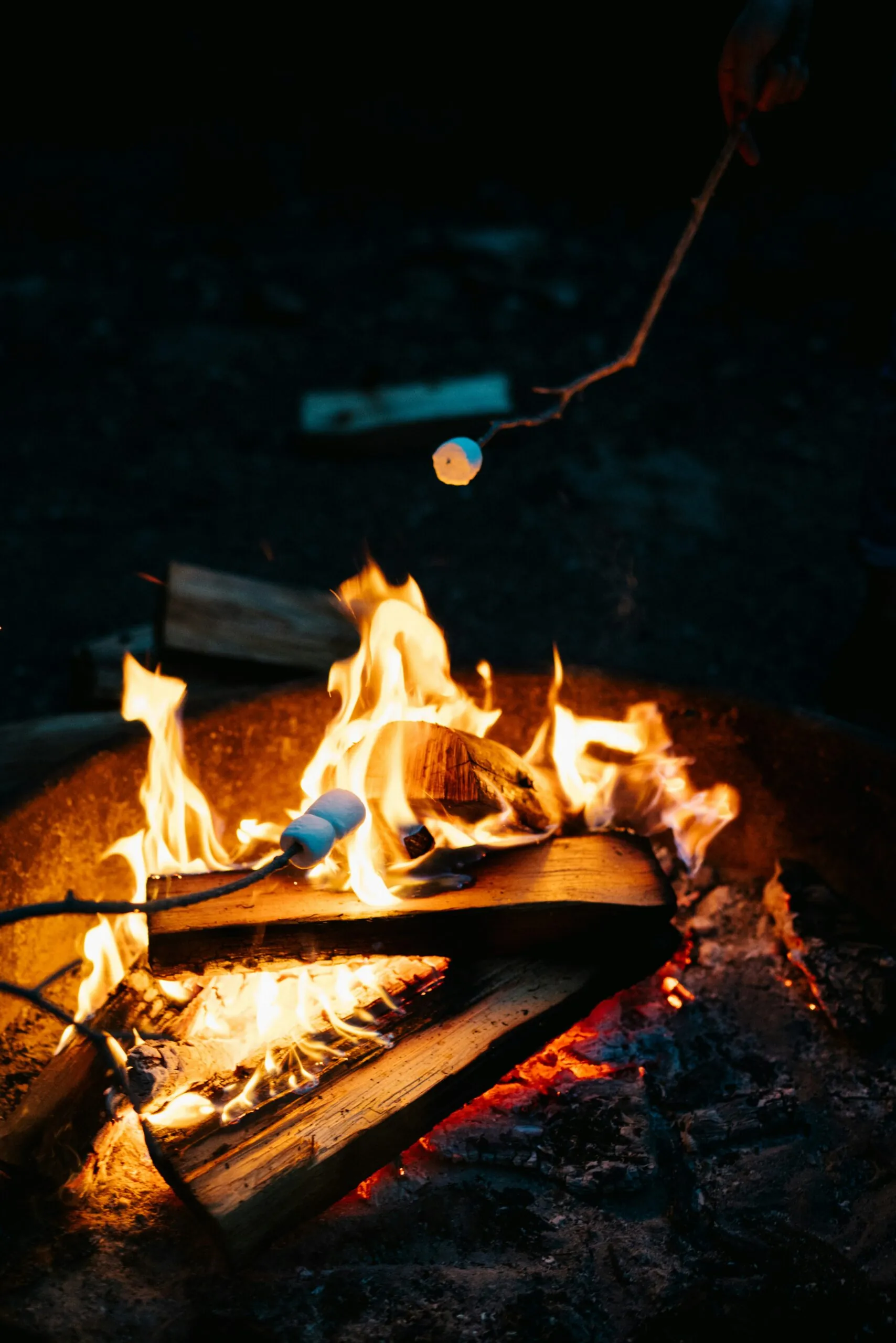 sidney pearce lYK9wiuz8do unsplash scaled